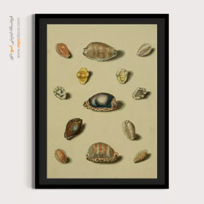 تابلو جانوران دریایی - اسپو دکور
