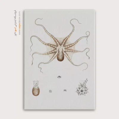 تابلو جانوران دریایی - اسپو دکور