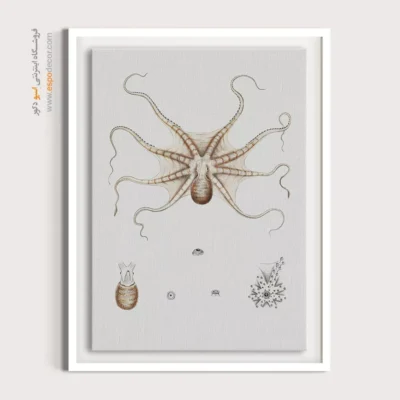 تابلو جانوران دریایی - اسپو دکور