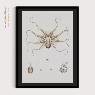 تابلو جانوران دریایی - اسپو دکور