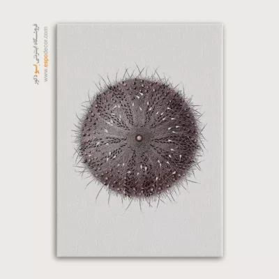 تابلو جانوران دریایی - اسپو دکور