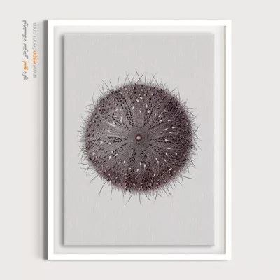 تابلو جانوران دریایی - اسپو دکور