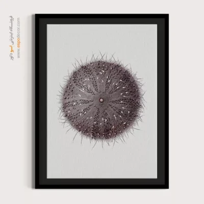 تابلو جانوران دریایی - اسپو دکور