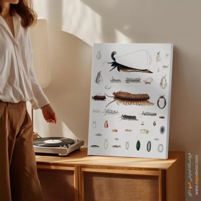 تابلو جانوران دریایی - اسپو دکور