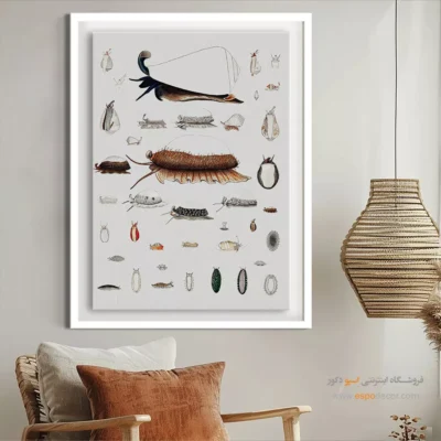 تابلو جانوران دریایی - اسپو دکور