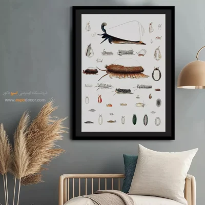 تابلو جانوران دریایی - اسپو دکور