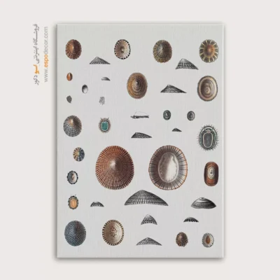 تابلو جانوران دریایی - اسپو دکور