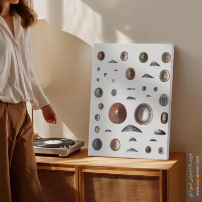 تابلو جانوران دریایی - اسپو دکور