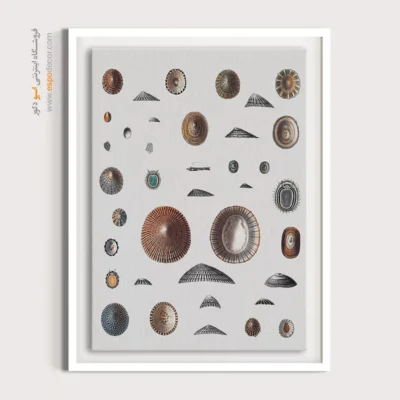 تابلو جانوران دریایی - اسپو دکور