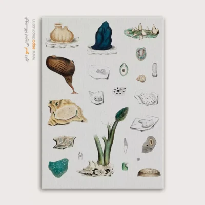 تابلو جانوران دریایی - اسپو دکور