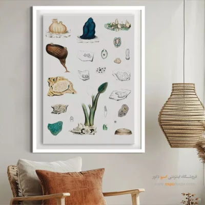 تابلو جانوران دریایی - اسپو دکور