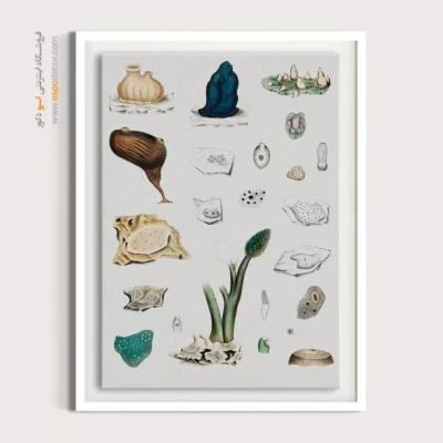 تابلو جانوران دریایی - اسپو دکور