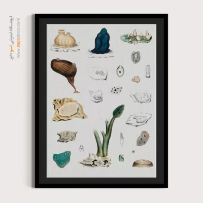 تابلو جانوران دریایی - اسپو دکور