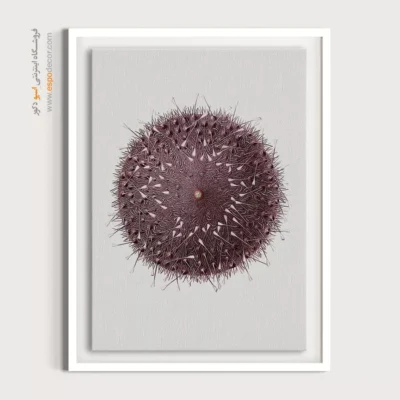 تابلو جانوران دریایی - اسپو دکور