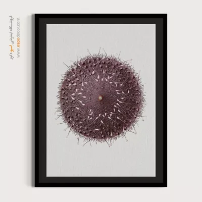 تابلو جانوران دریایی - اسپو دکور