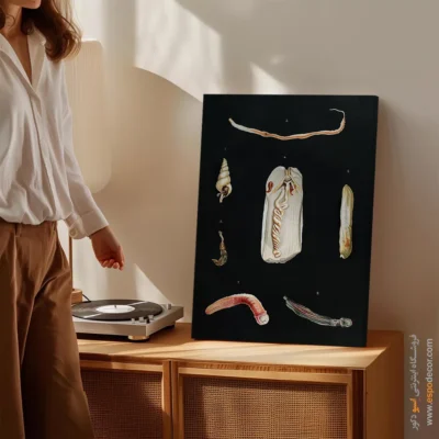 تابلو جانوران دریایی - اسپو دکور