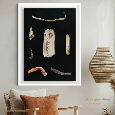 تابلو جانوران دریایی - اسپو دکور