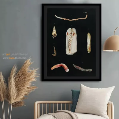 تابلو جانوران دریایی - اسپو دکور