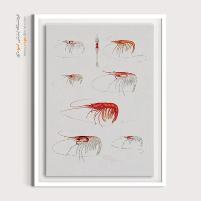 تابلو جانوران دریایی - اسپو دکور