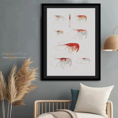 تابلو جانوران دریایی - اسپو دکور