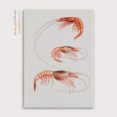 تابلو جانوران دریایی - اسپو دکور