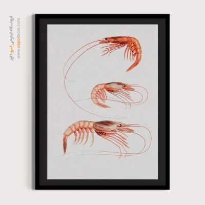 تابلو جانوران دریایی - اسپو دکور