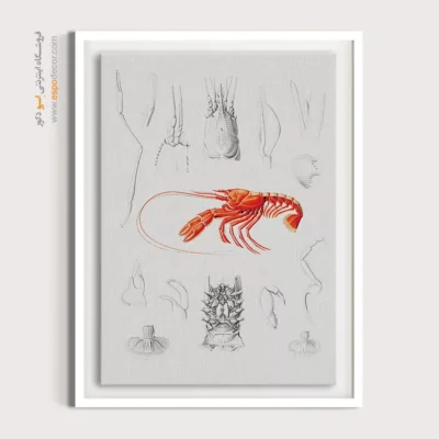 تابلو جانوران دریایی - اسپو دکور