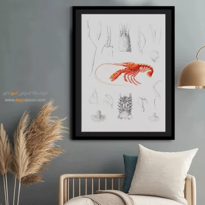 تابلو جانوران دریایی - اسپو دکور