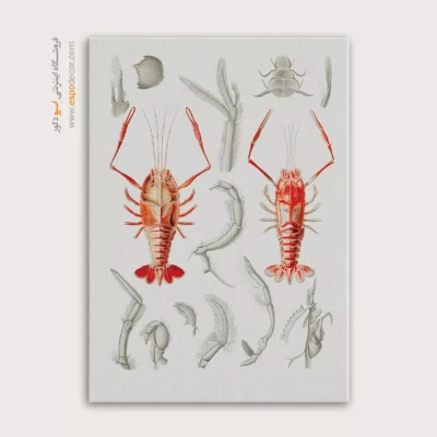 تابلو جانوران دریایی - اسپو دکور