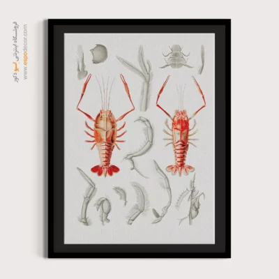 تابلو جانوران دریایی - اسپو دکور