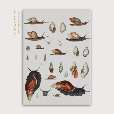 تابلو جانوران دریایی - اسپو دکور