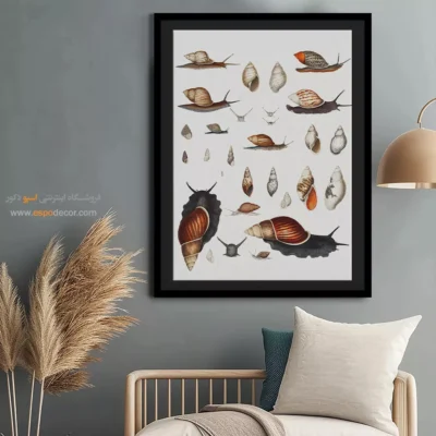 تابلو جانوران دریایی - اسپو دکور