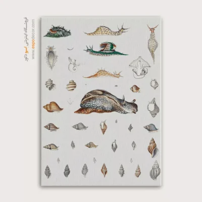 تابلو جانوران دریایی - اسپو دکور