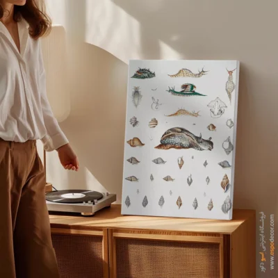 تابلو جانوران دریایی - اسپو دکور