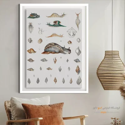تابلو جانوران دریایی - اسپو دکور