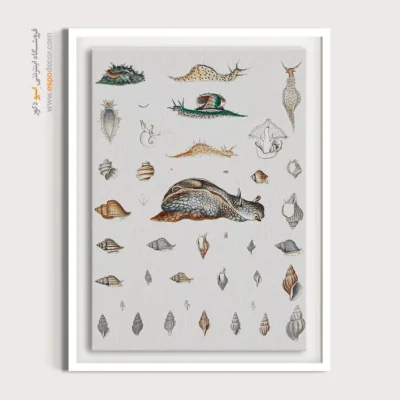 تابلو جانوران دریایی - اسپو دکور