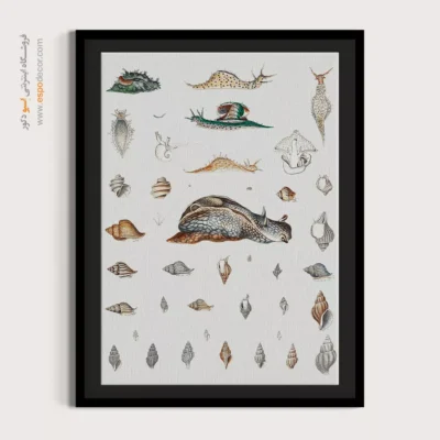 تابلو جانوران دریایی - اسپو دکور