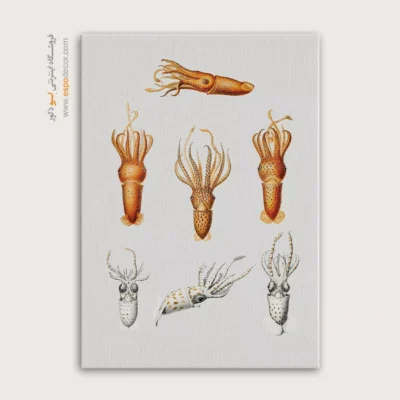 تابلو جانوران دریایی - اسپو دکور