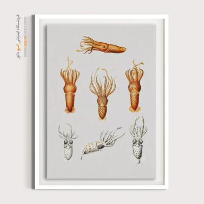 تابلو جانوران دریایی - اسپو دکور