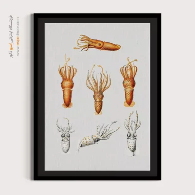 تابلو جانوران دریایی - اسپو دکور