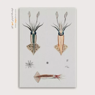 تابلو جانوران دریایی - اسپو دکور