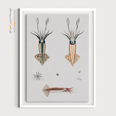 تابلو جانوران دریایی - اسپو دکور