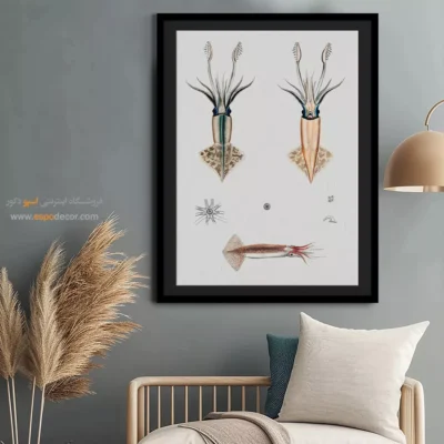 تابلو جانوران دریایی - اسپو دکور