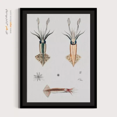 تابلو جانوران دریایی - اسپو دکور