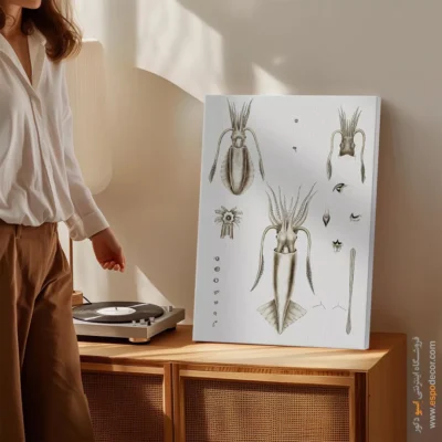 تابلو جانوران دریایی - اسپو دکور