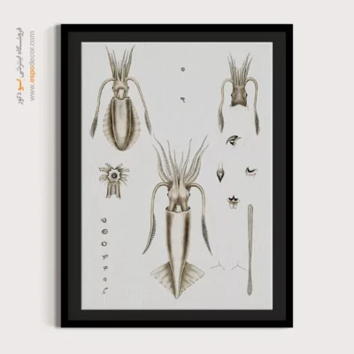 تابلو جانوران دریایی - اسپو دکور