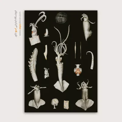 تابلو جانوران دریایی - اسپو دکور