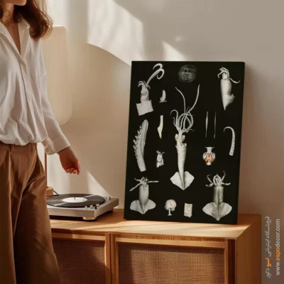 تابلو جانوران دریایی - اسپو دکور