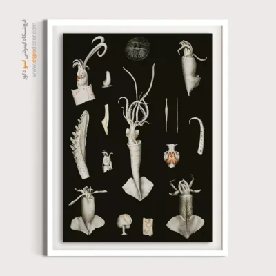 تابلو جانوران دریایی - اسپو دکور