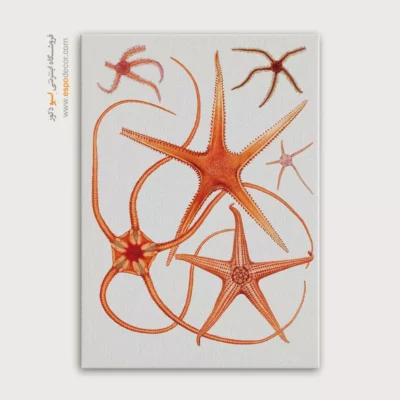 تابلو جانوران دریایی - اسپو دکور